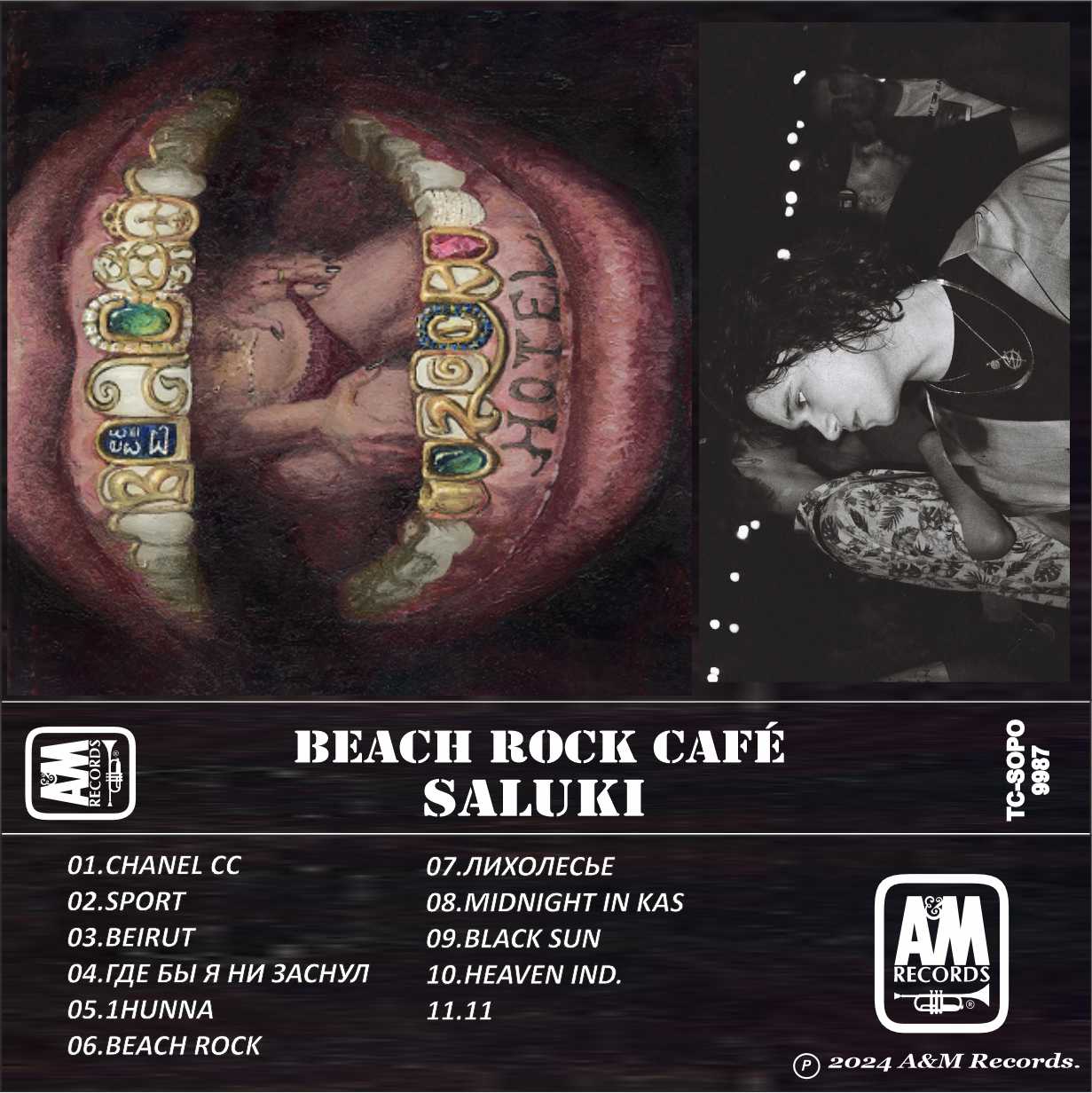 Saluki-Beach Rock Hotel